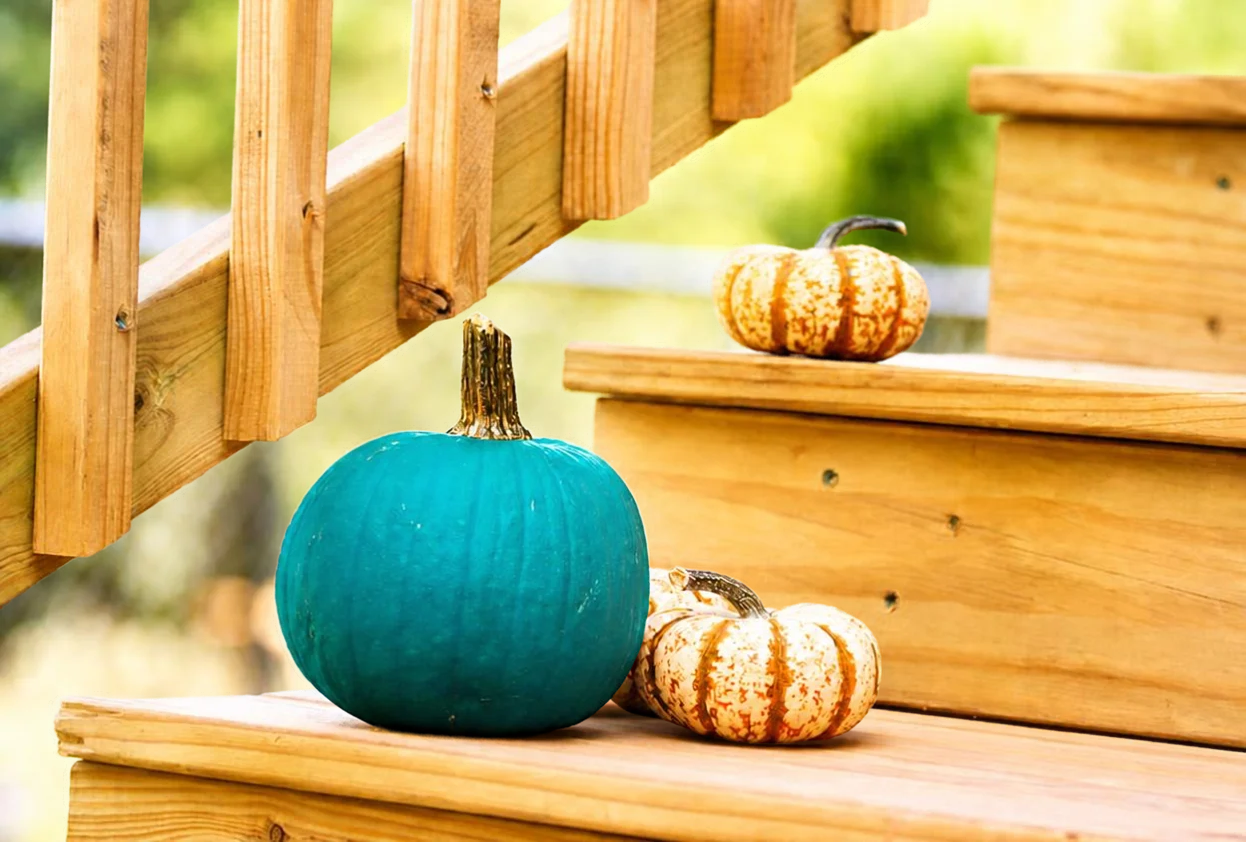 What Is the Teal Pumpkin Project?